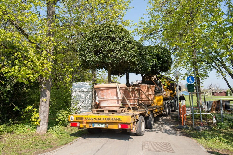 Aufbau Garden Life 2016
