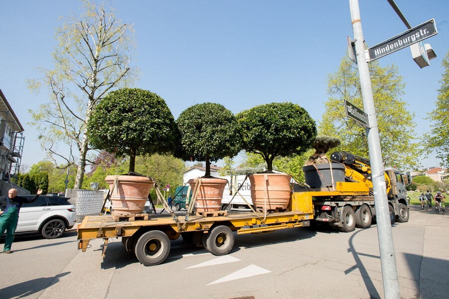 Aufbau Garden Life 2016