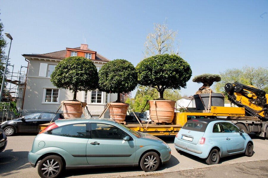 Aufbau Garden Life 2016