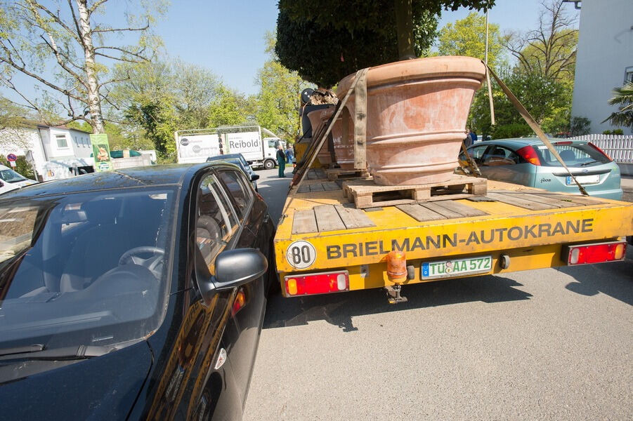 Aufbau Garden Life 2016