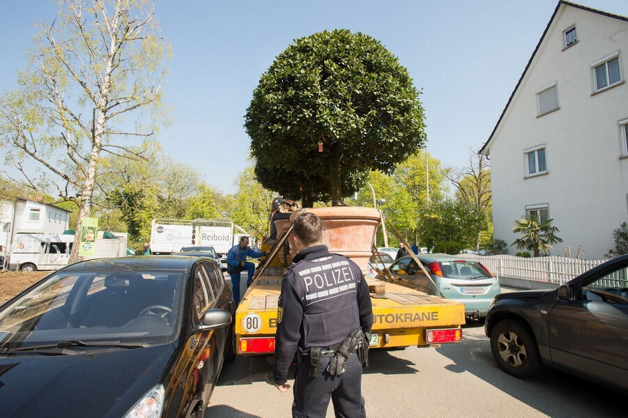 Aufbau Garden Life 2016