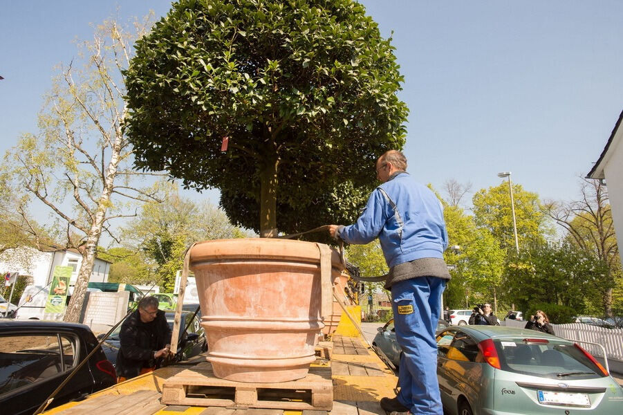 Aufbau Garden Life 2016