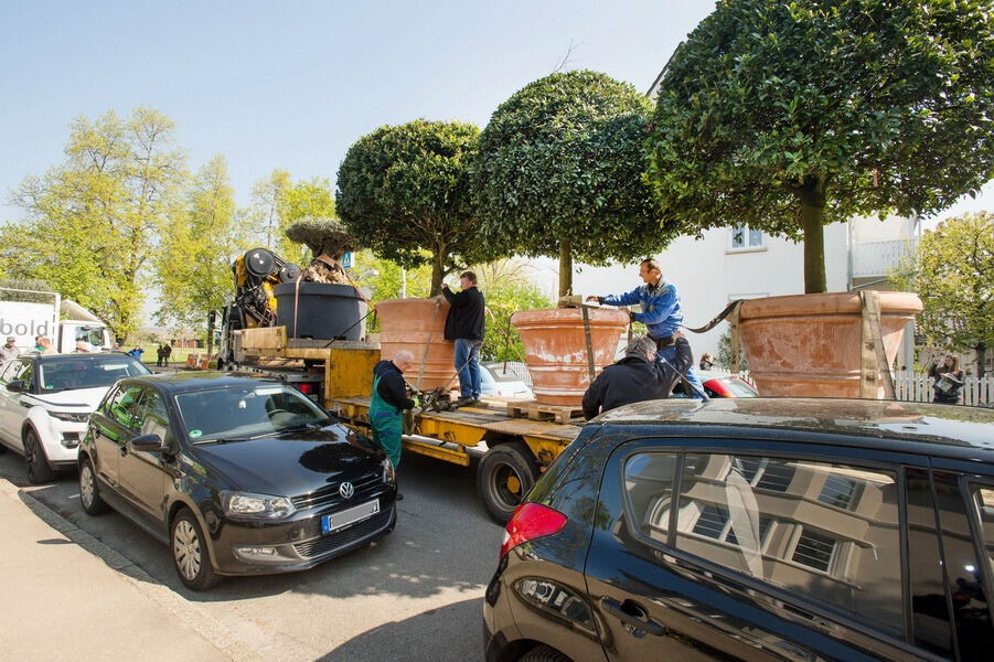 Aufbau Garden Life 2016