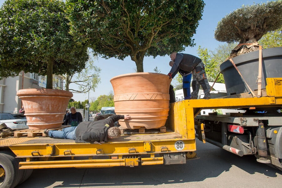 Aufbau Garden Life 2016
