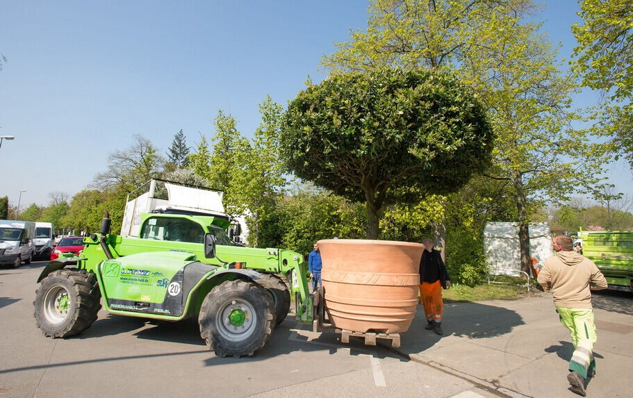 Aufbau Garden Life 2016