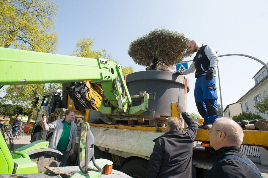 Aufbau Garden Life 2016