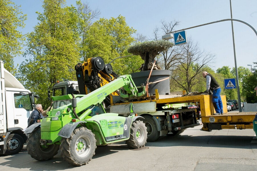 Aufbau Garden Life 2016