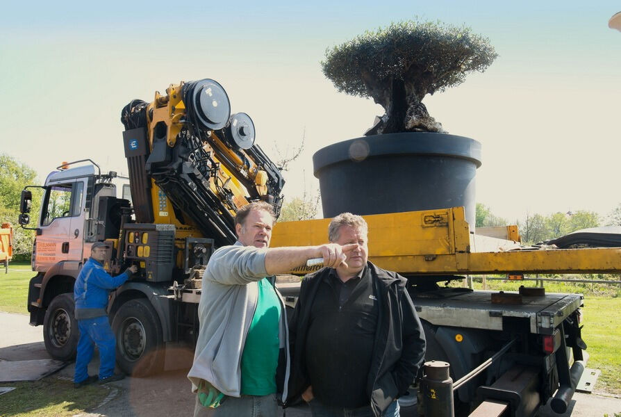 Aufbau Garden Life 2016