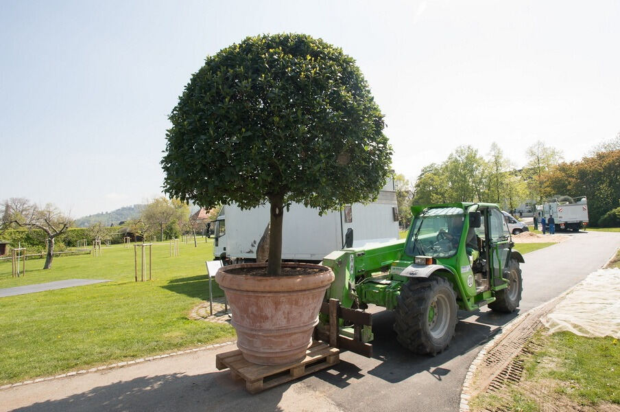 Aufbau Garden Life 2016