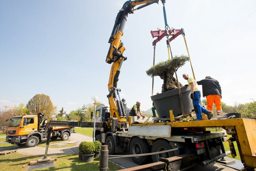 Aufbau Garden Life 2016