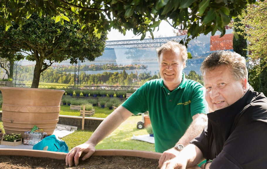 Aufbau Garden Life 2016