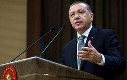 Staatschef Erdogan in Ankara. Die Türkei steht vor einer Regierungskrise. Foto: Turkish Presidential Press Office