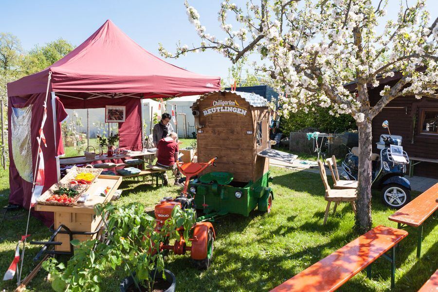 Garden Life in der Pomologie 2016