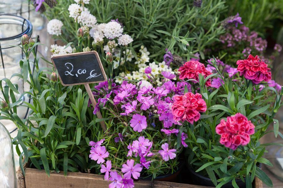 Garden Life in der Pomologie 2016