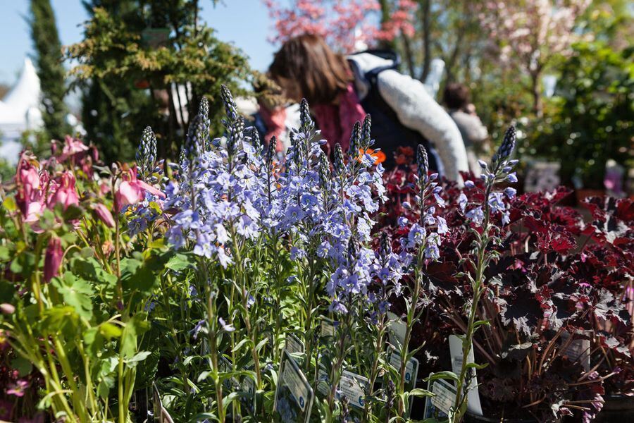 Garden Life in der Pomologie 2016