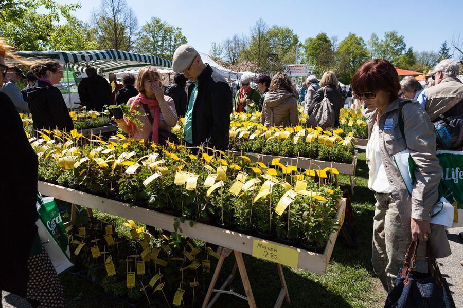 Garden Life in der Pomologie 2016