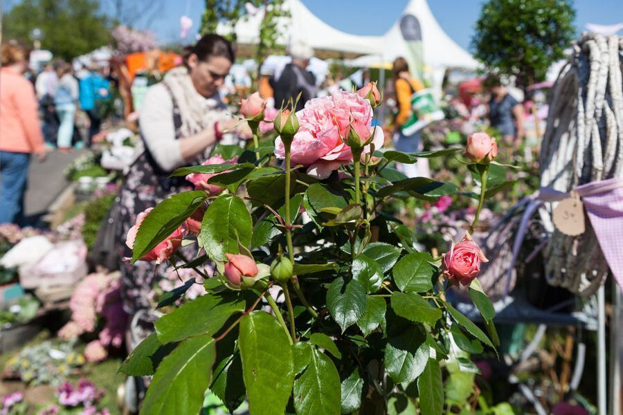 Garden Life in der Pomologie 2016