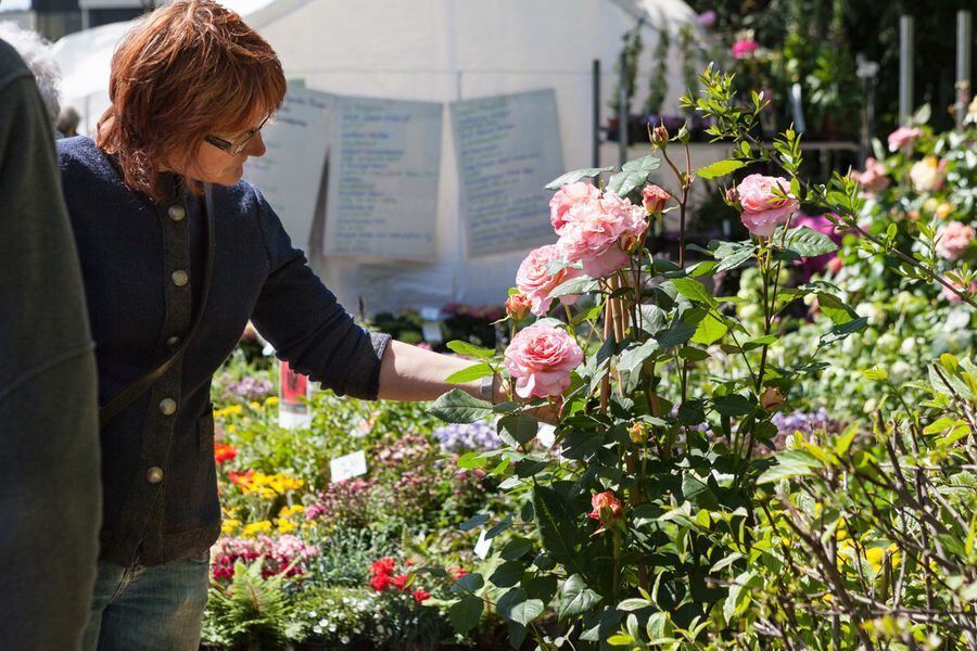 Garden Life in der Pomologie 2016