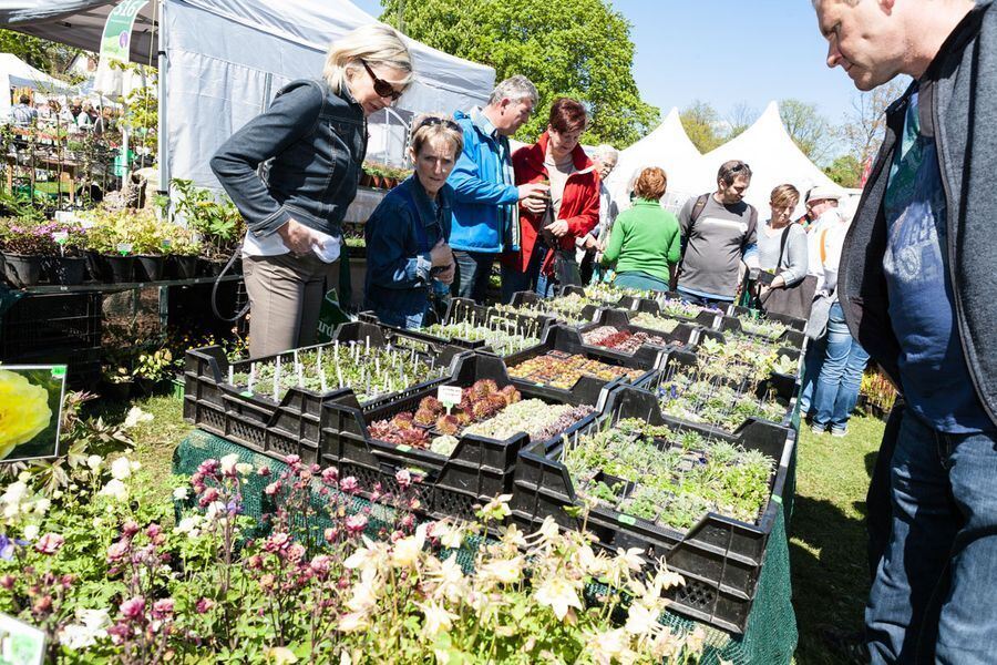 Garden Life in der Pomologie 2016