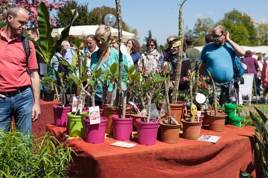 Garden Life in der Pomologie 2016