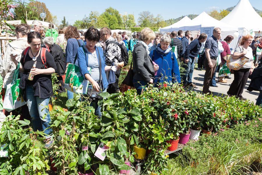 Garden Life in der Pomologie 2016