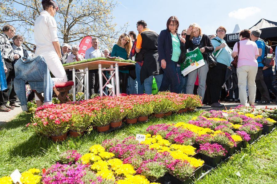 Garden Life in der Pomologie 2016