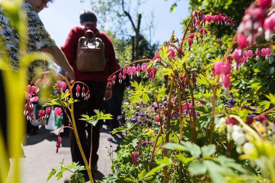 Garden Life in der Pomologie 2016