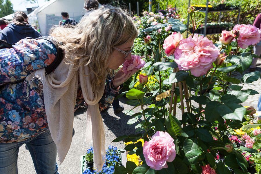 Garden Life in der Pomologie 2016