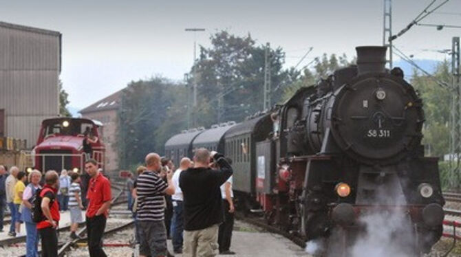 Selbst wenn es hier nicht so aussieht: Auch viele Frauen interessierten sich für die liebevoll restaurierten Waggons und Loks. F