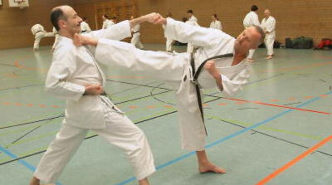 Karate zählt wie Judo zu den erfolgreichen Nischen-Disziplinen des PSV. ARCHIVFOTO: GER