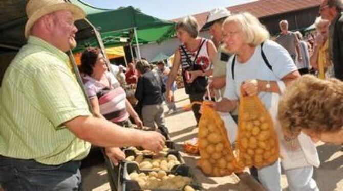Prachtswetter, Prachtsstimmung: Das 13. Kartoffelfest war für Konsument und Verkäufer gleichermaßen eine Freude.
GEA-FOTO: PACHE