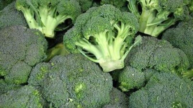 Bio-Produkte sind meistens wirklich »Bio«. Nur im Brokkoli wurden häufiger Spuren von Pflanzenschutzmitteln entdeckt.
FOTO: DPA
