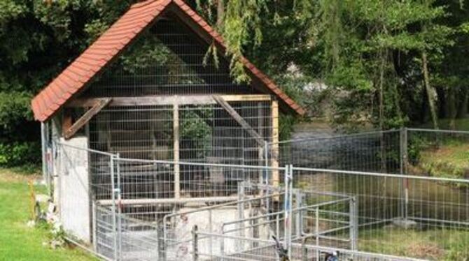 Da kommt nicht mal mehr ein Vogel mehr rein  das inzwischen gesicherte Wasserrad im Schlösslespark.  
GEA-FOTO: BARAL