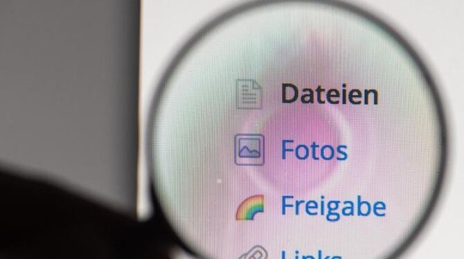 Der Online-Speicherdienst Dropbox hat nach eigenen Angaben allein im deutschsprachigen Raum 30 Millionen Nutzer. Foto: Armin