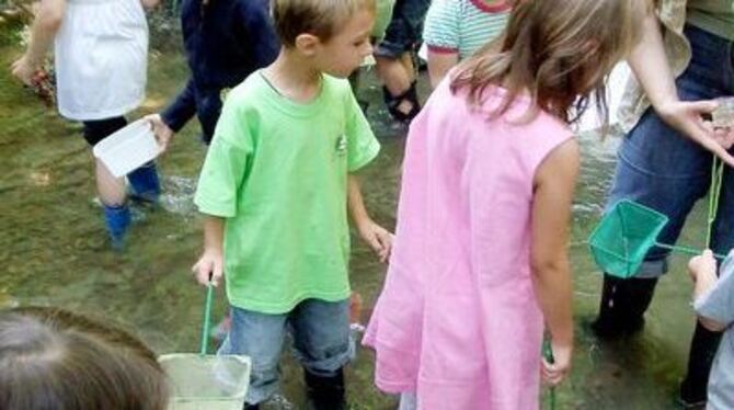 Was lebt im Breitenbach? Die Betzinger Kinder fanden es heraus.
FOTO: PR