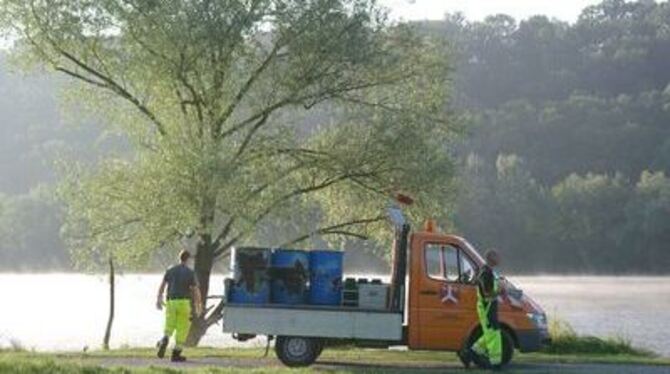 Am frühen Morgen rückt der Trupp vom Bauhof an, um am Baggersee die Hinterlassenschaften vom Wochenende zu beseitigen.
GEA-FOTO: