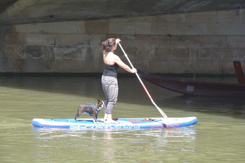 Stocherkahnrennen Tübingen 2016