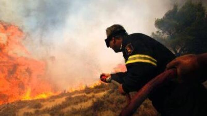 Ein griechischer Feuerwehrmann im Kampf gegen die Flammen.
ARCHIVFOTO: DPA