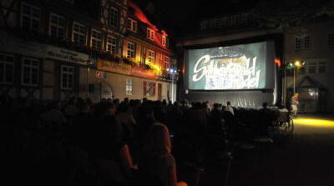 Kino in malerischer Kulisse: Im Reutlinger Spitalhof sind bis einschließlich 2. September jede Menge tolle Filme zu sehen. GEA-F