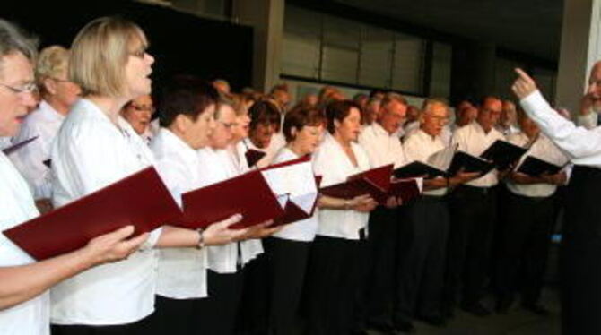 Der Gemischte Liederkranz-Chor, dirigiert von Jürgen Bolle, bei der Serenade im Schlosshof. FOTO: LEIPPERT