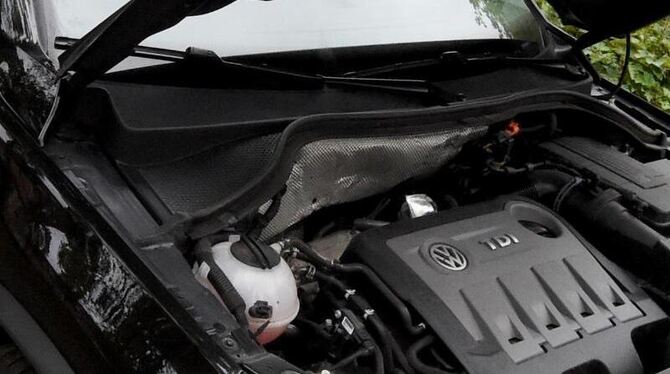 Ein von der Rückrufaktion betroffener Tiguan: VW erhält eine weitere Freigabe für gut eine Million Diesel-Rückrufe. Foto: Car