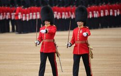 Britische Gardesoldaten in roten Uniformen und Bärenfellmützen. Foto: Owen Cooban/British Ministry of Defense/Crown Copyright