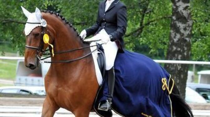 M-Dressur-Siegerin Tine Stoll ist stolz auf ihren 13-jähriger Goran.
GEA-FOTO: PACHER