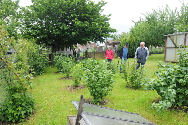Tag der offenen Gärten in Kusterdingen Juni 2016