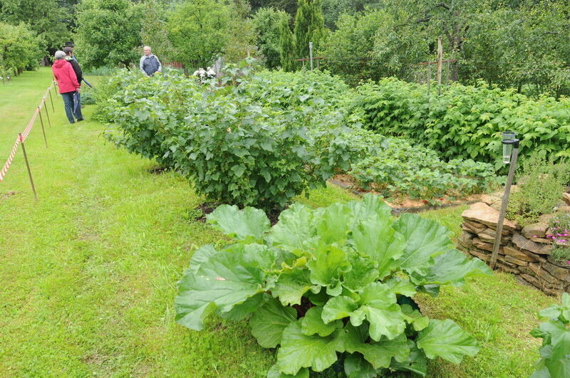 Tag der offenen Gärten in Kusterdingen Juni 2016