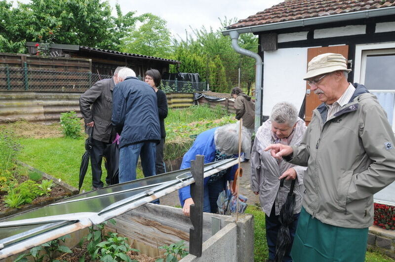 Tag der offenen Gärten in Kusterdingen Juni 2016