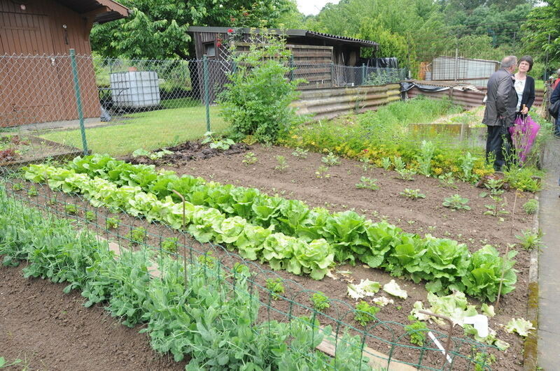 Tag der offenen Gärten in Kusterdingen Juni 2016