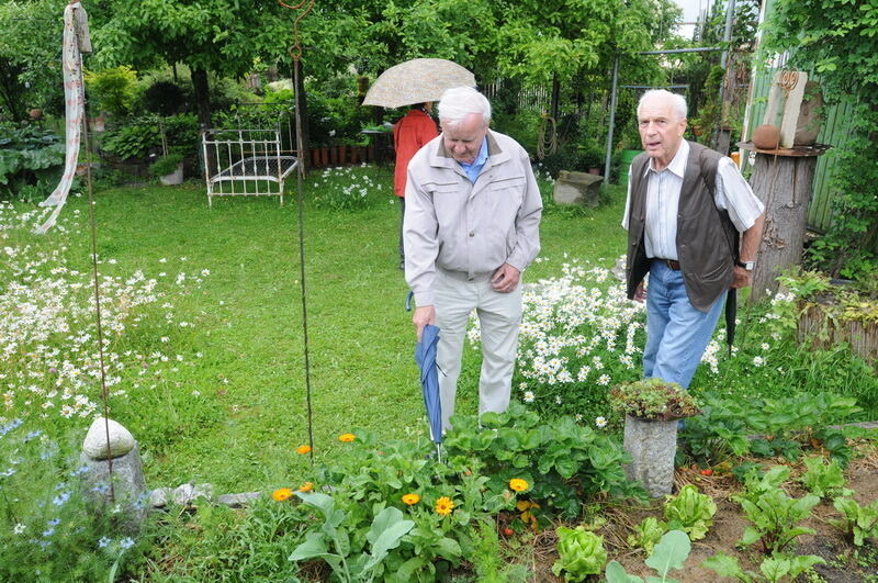 Tag der offenen Gärten in Kusterdingen Juni 2016