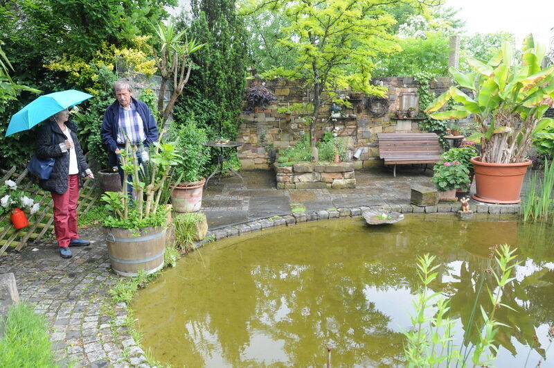 Tag der offenen Gärten in Kusterdingen Juni 2016