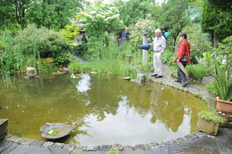 Tag der offenen Gärten in Kusterdingen Juni 2016